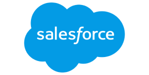 Salesforce Developer