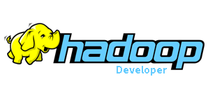 Hadoop Developer