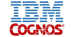 IBM Cognos TM1